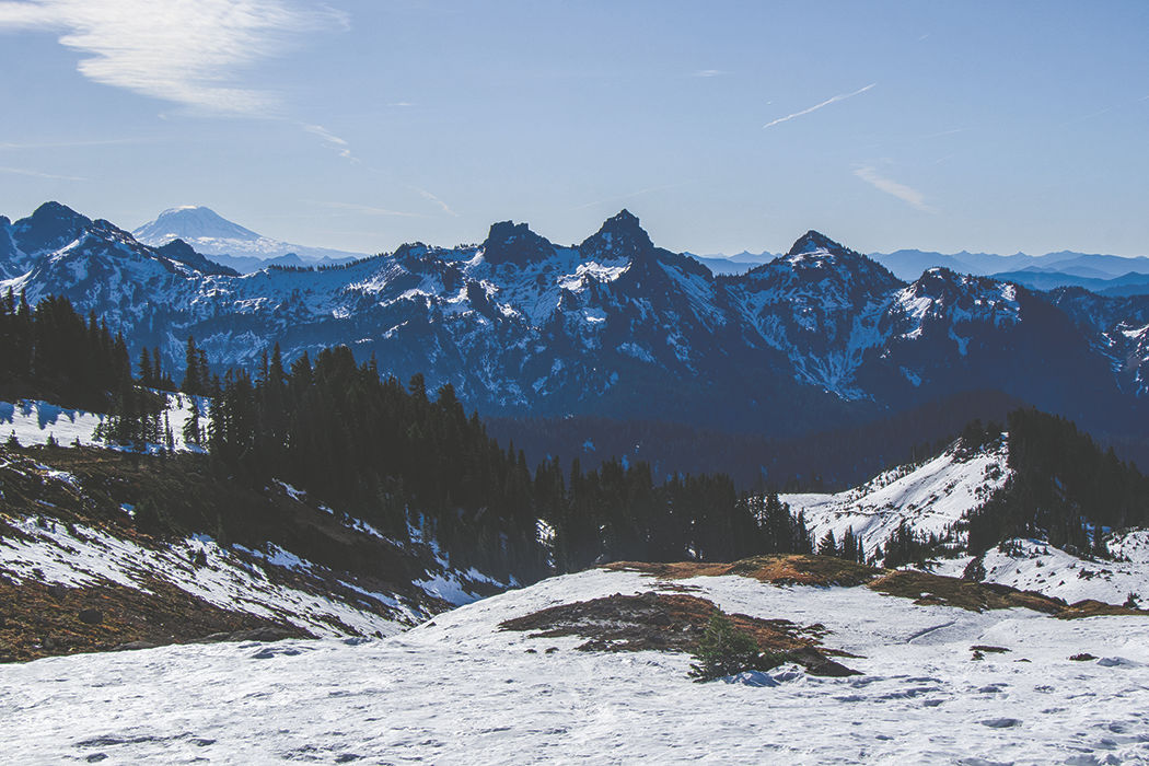 Photos: From Paradise in Mount Rainier National Park